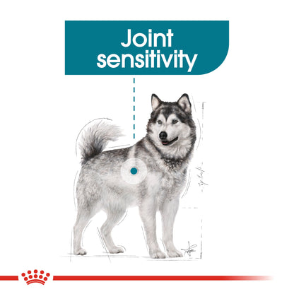 Royal Canin Adult Maxi Joint Care Dog Food Care 10kg