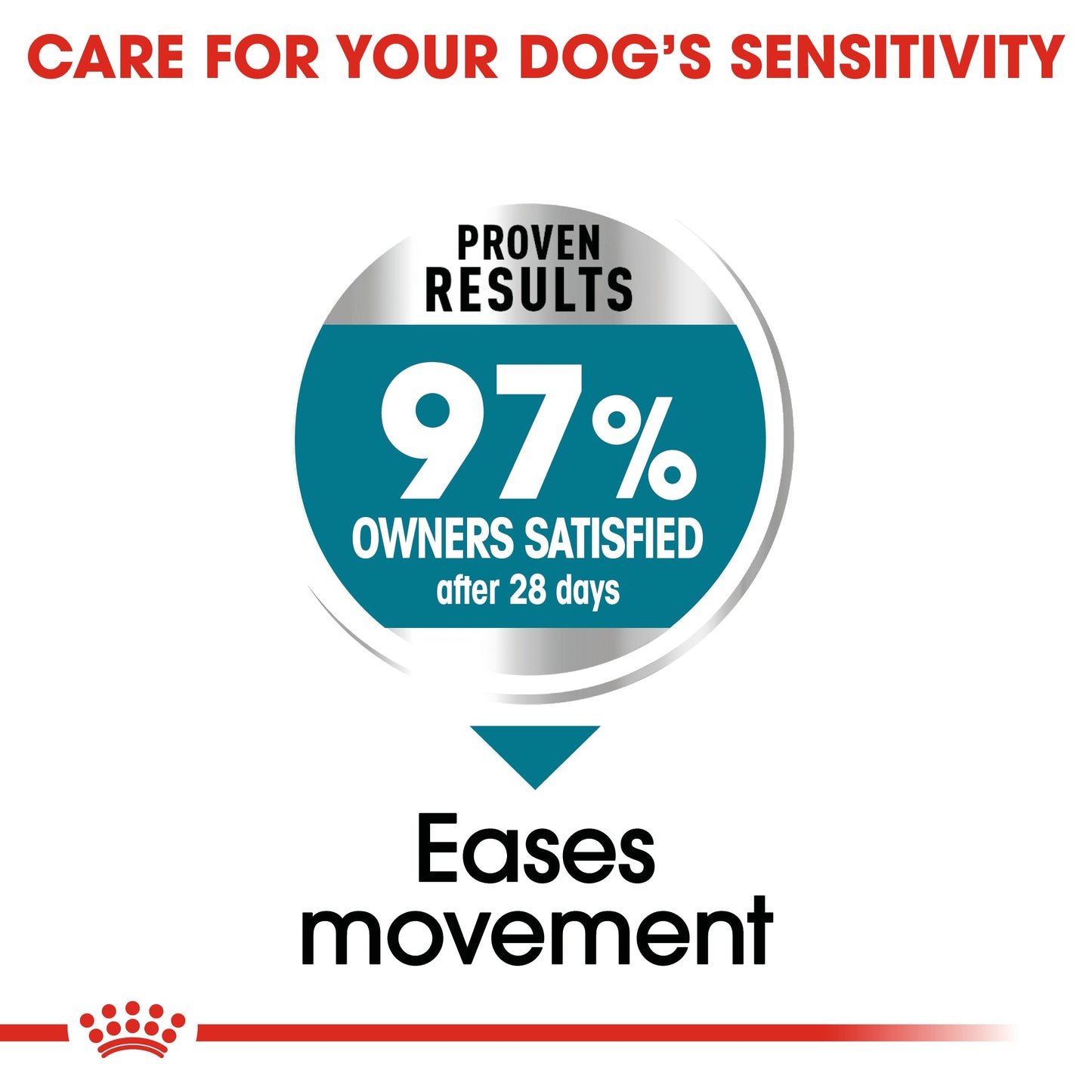Royal Canin Adult Maxi Joint Care Dog Food Care 10kg