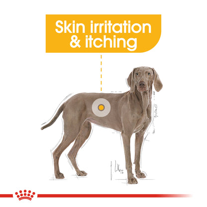 Royal Canin Dermacomfort Maxi Adult and Mature Large Dry Dog Food 12kg