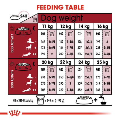 Royal Canin Adult Medium 7+ Dry Dog Food