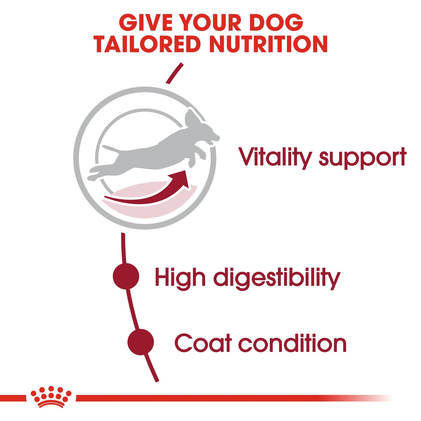 Royal Canin Adult Medium 7+ Dry Dog Food