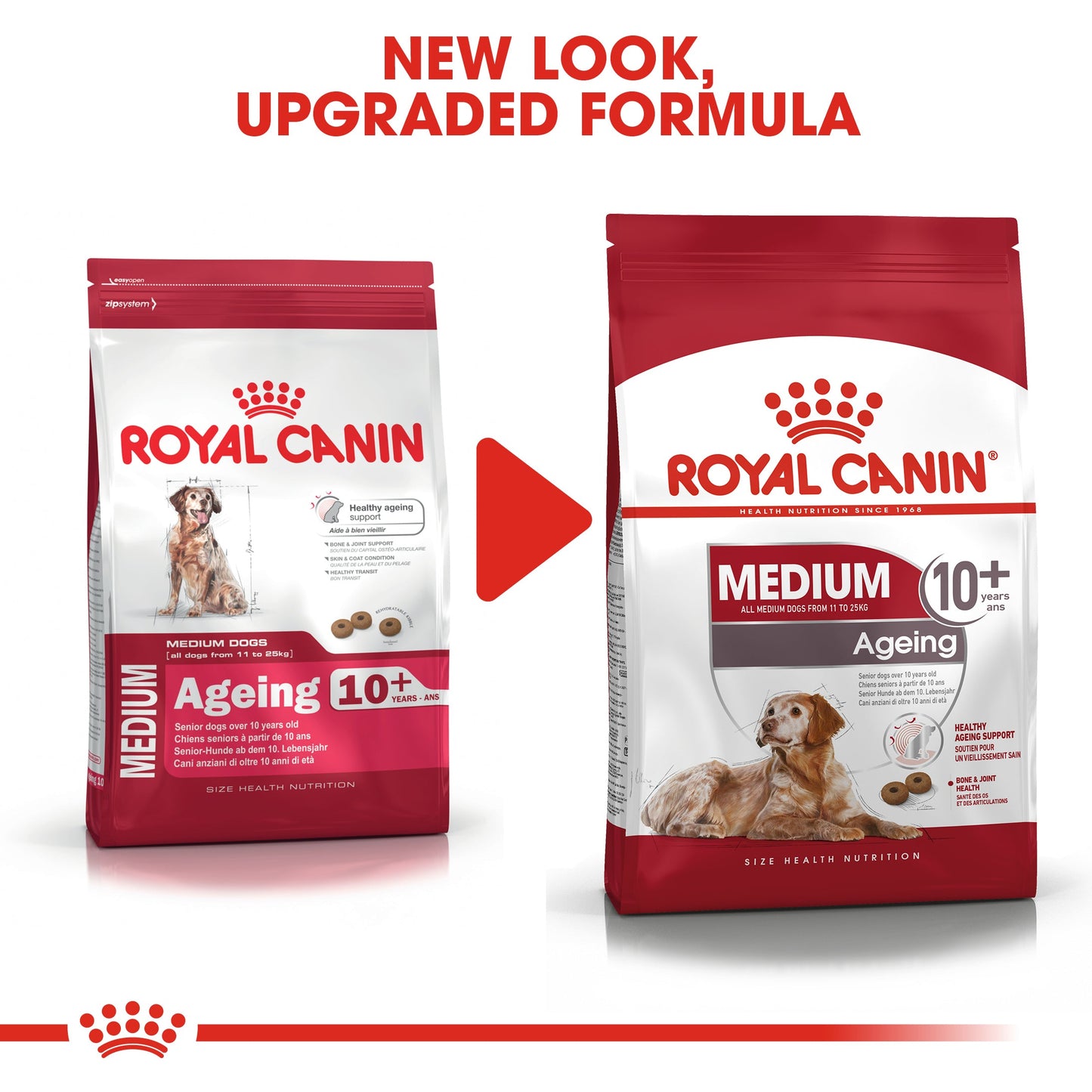 Royal Canin Senior Medium Ageing 10+ Dry Dog Food