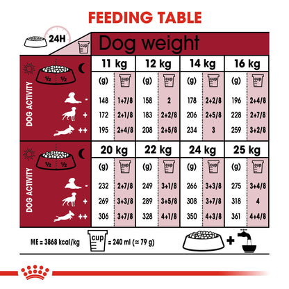 Royal Canin Senior Medium Ageing 10+ Dry Dog Food