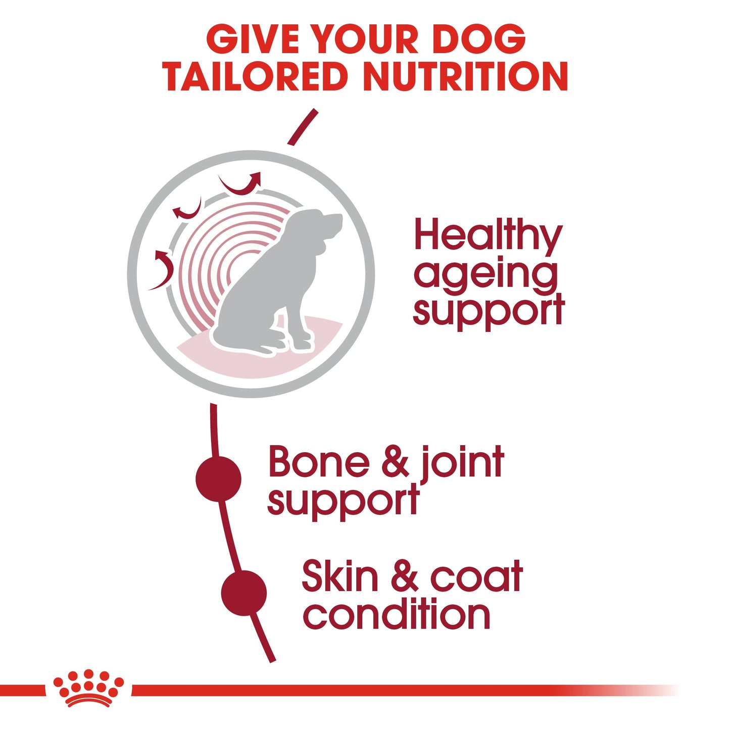 Royal Canin Senior Medium Ageing 10+ Dry Dog Food