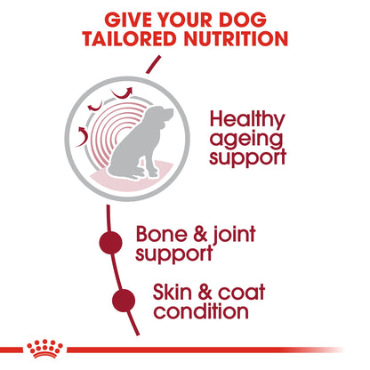 Royal Canin Senior Medium Ageing 10+ Dry Dog Food