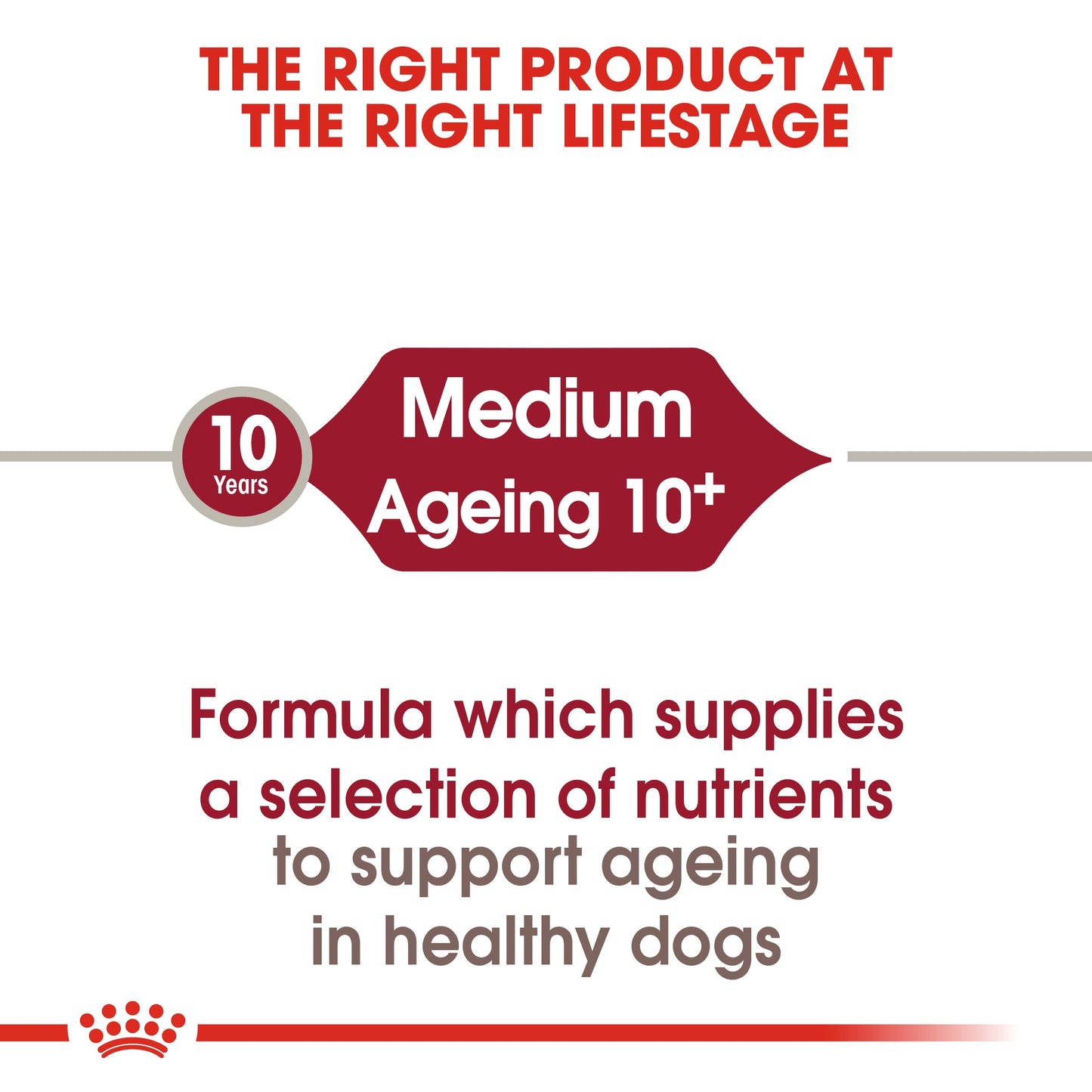 Royal Canin Senior Medium Ageing 10+ Dry Dog Food