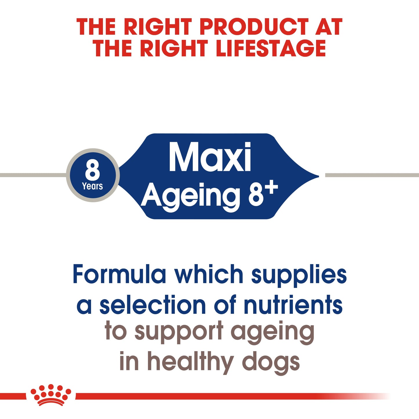 Royal Canin Senior Maxi Ageing 8+ Dry Dog Food