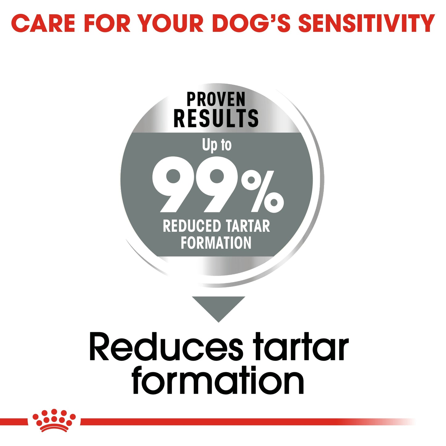 Royal Canin Adult Medium Dental Care Dry Dog Food 10kg