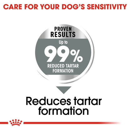 Royal Canin Adult Medium Dental Care Dry Dog Food 10kg