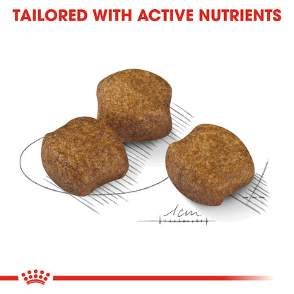 Royal Canin Adult Medium Dental Care Dry Dog Food 10kg