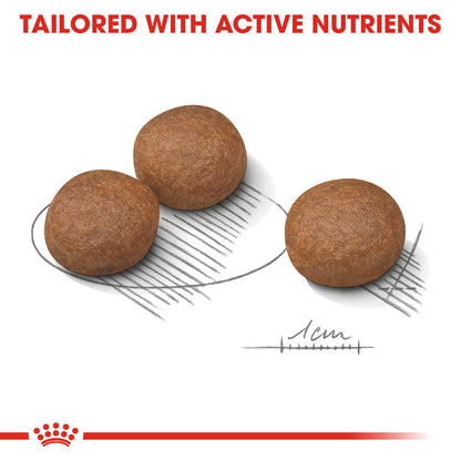 Royal Canin Adult Medium Digestive Care Dry Dog Food