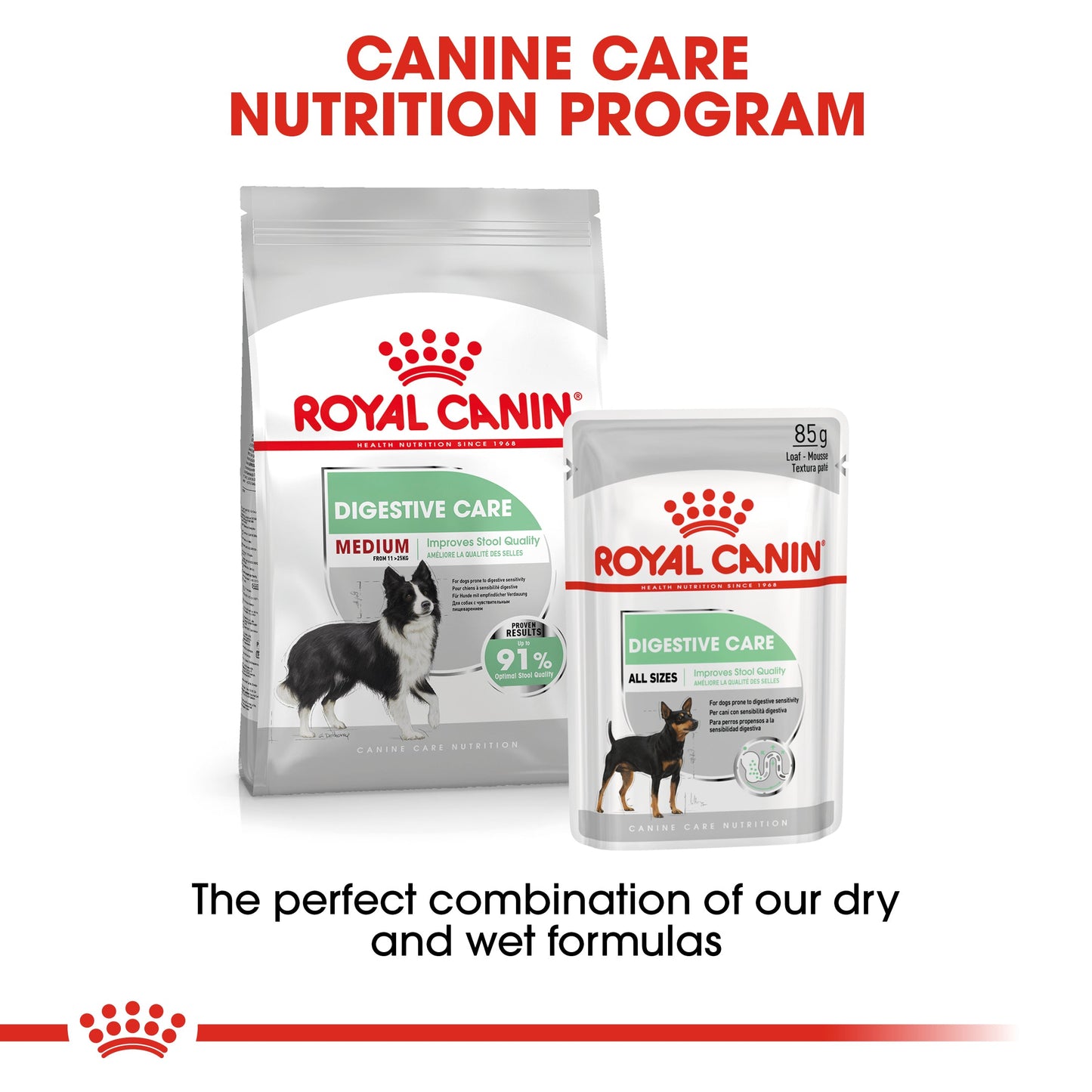 Royal Canin Adult Medium Digestive Care Dry Dog Food
