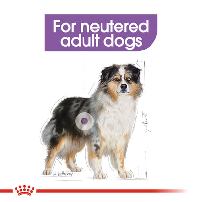 Royal Canin Adult Medium Sterilised Dry Dog Food 12kg