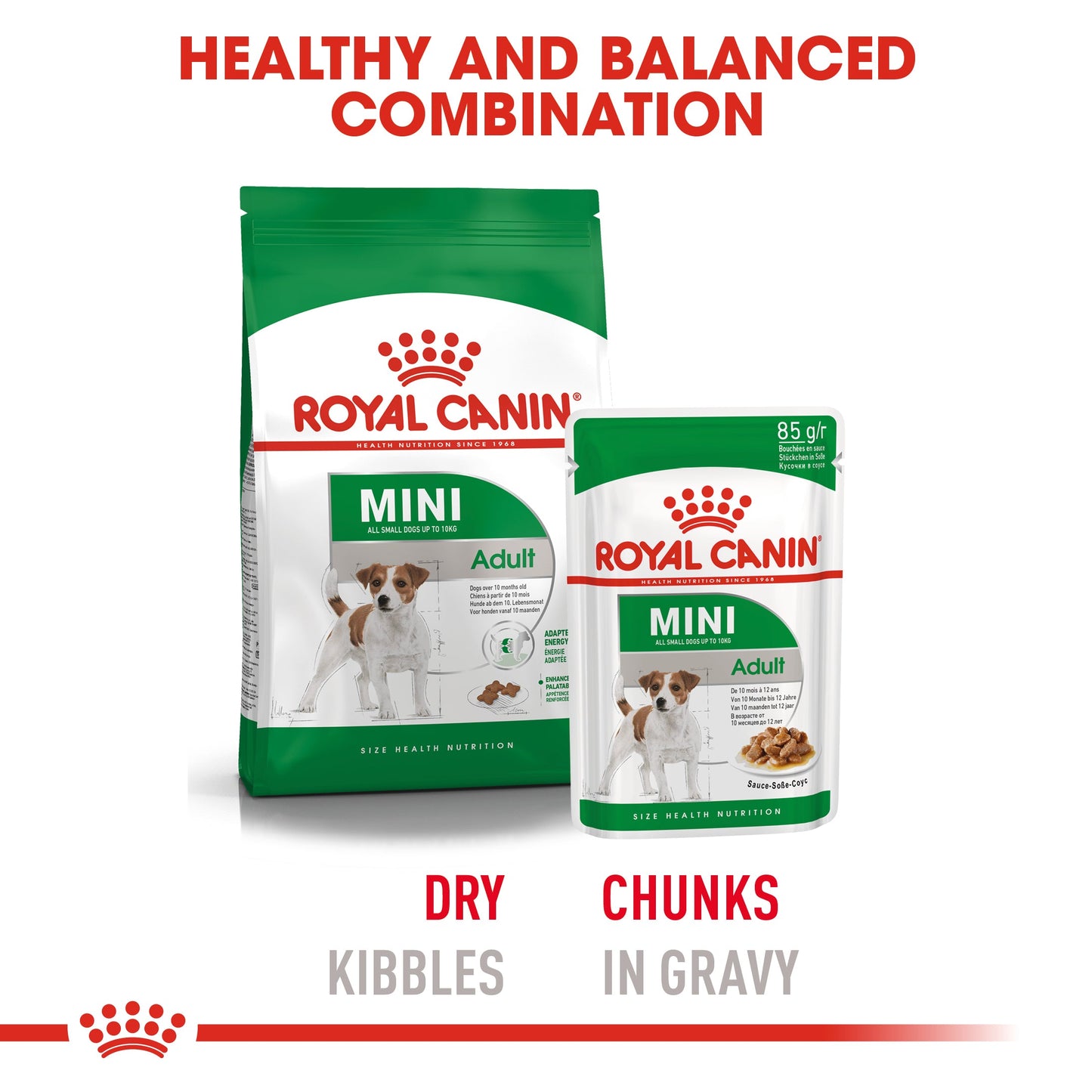 Royal Canin Adult Mini Chunks In Gravy Wet Dog Food