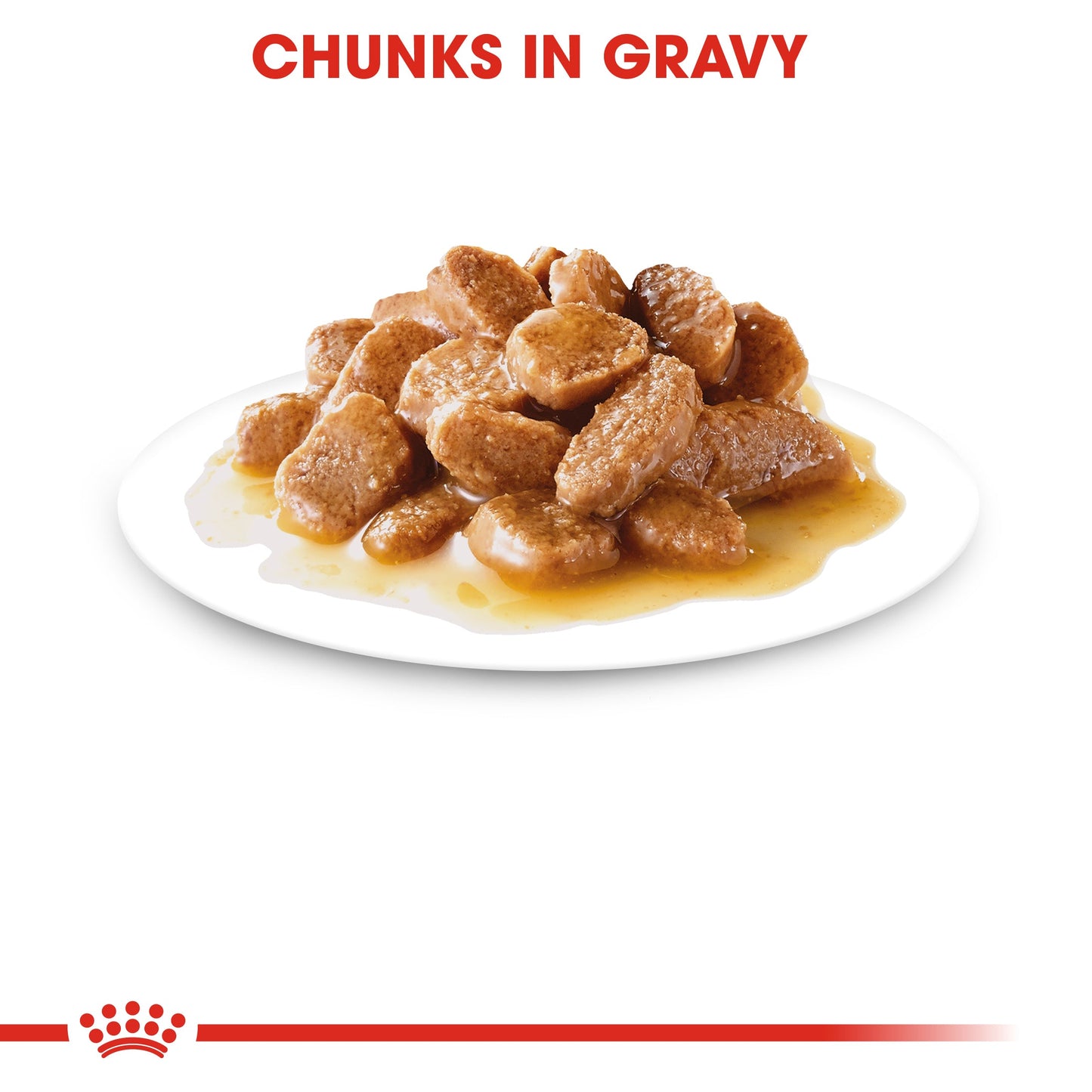 Royal Canin Adult Mini Chunks In Gravy Wet Dog Food
