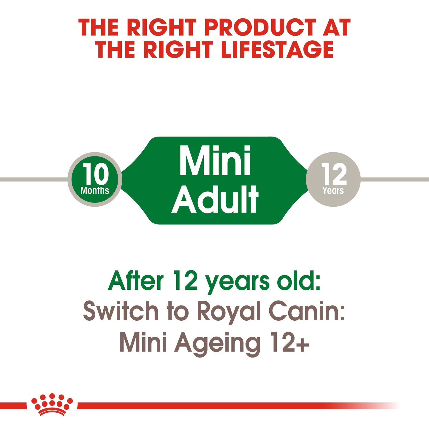 Royal Canin Adult Mini Chunks In Gravy Wet Dog Food