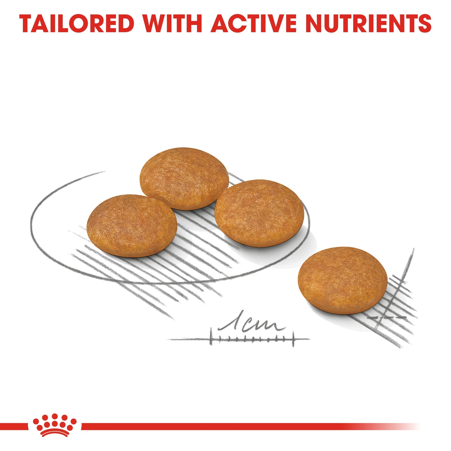 Royal Canin Adult Mini Dermacomfort Dry Dog Food