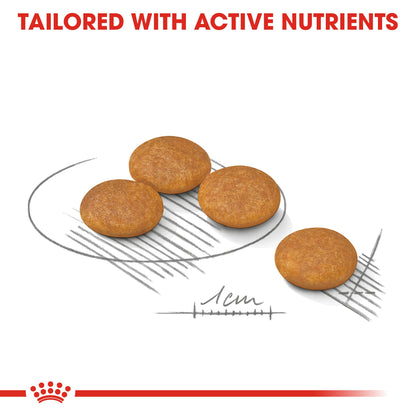 Royal Canin Adult Mini Dermacomfort Dry Dog Food