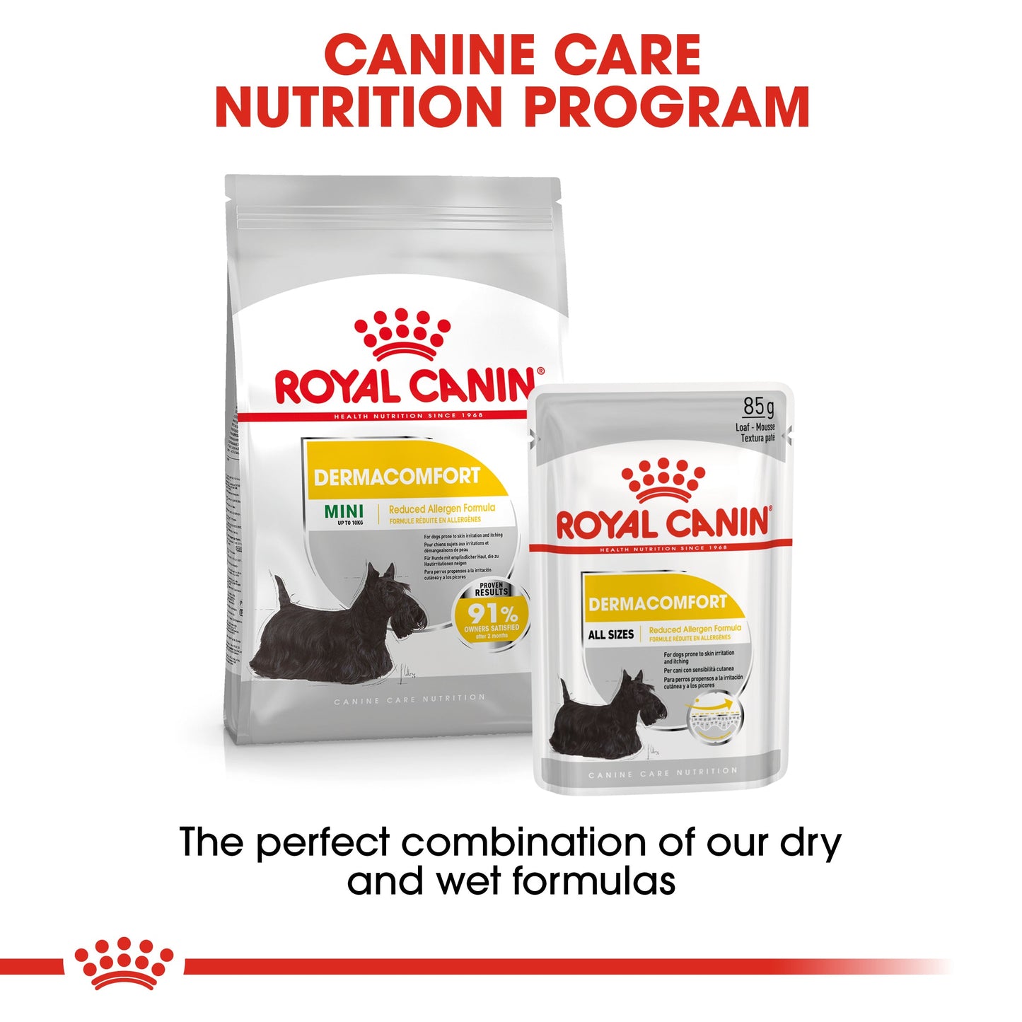 Royal Canin Adult Mini Dermacomfort Dry Dog Food
