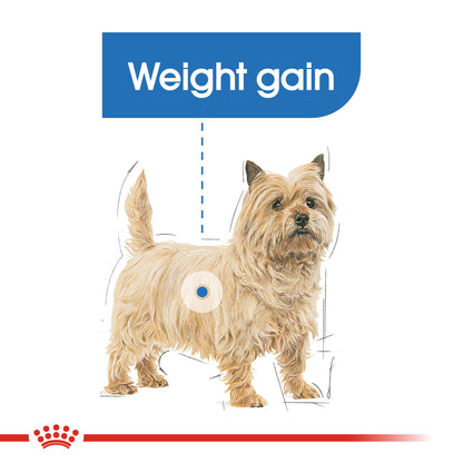 Royal Canin Adult Mini Light Weight Care Dry Dog Food