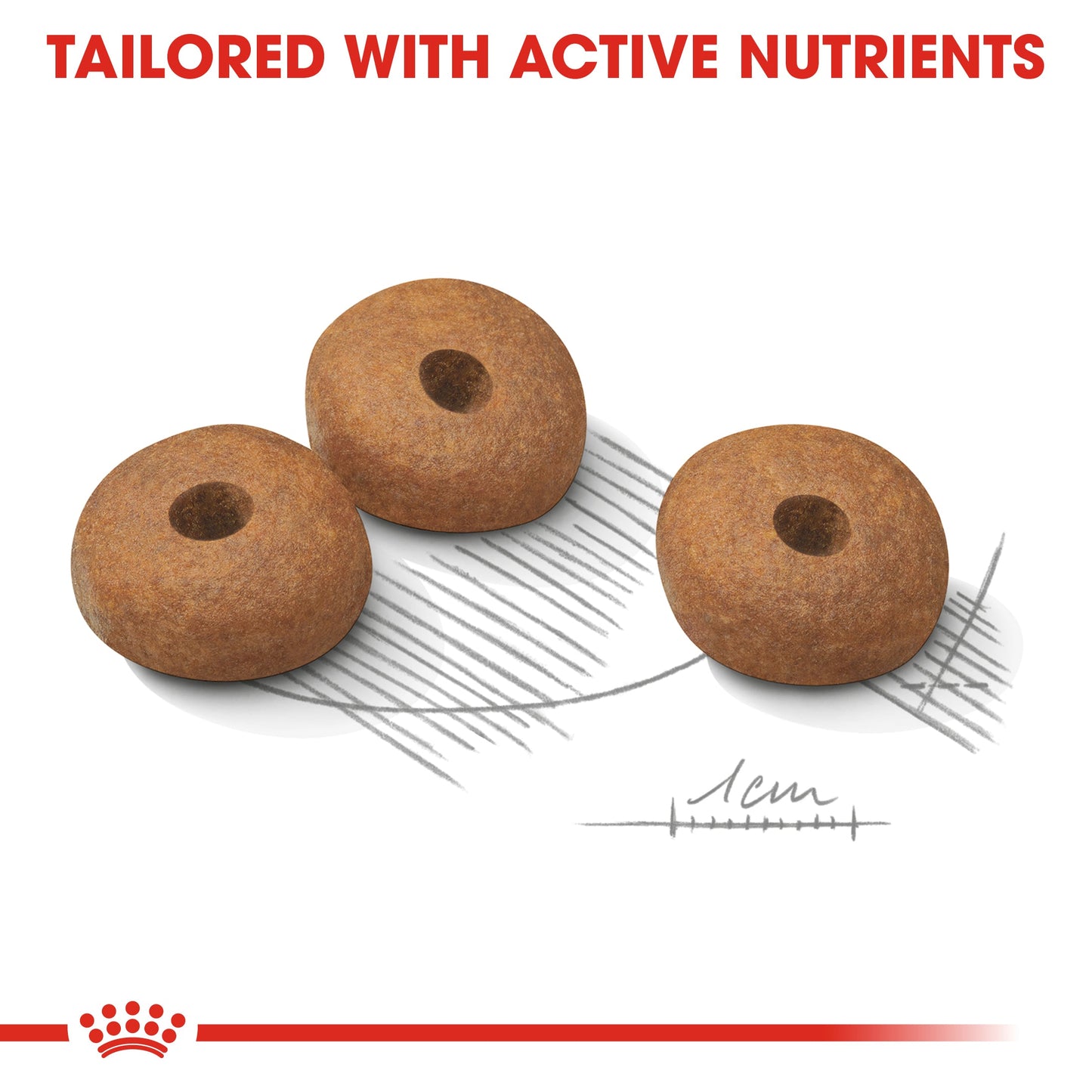 Royal Canin Adult Mini Light Weight Care Dry Dog Food