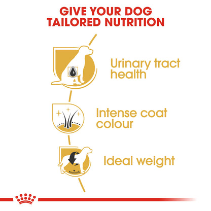 Royal Canin Adult Miniature Schnauzer Dry Dog Food