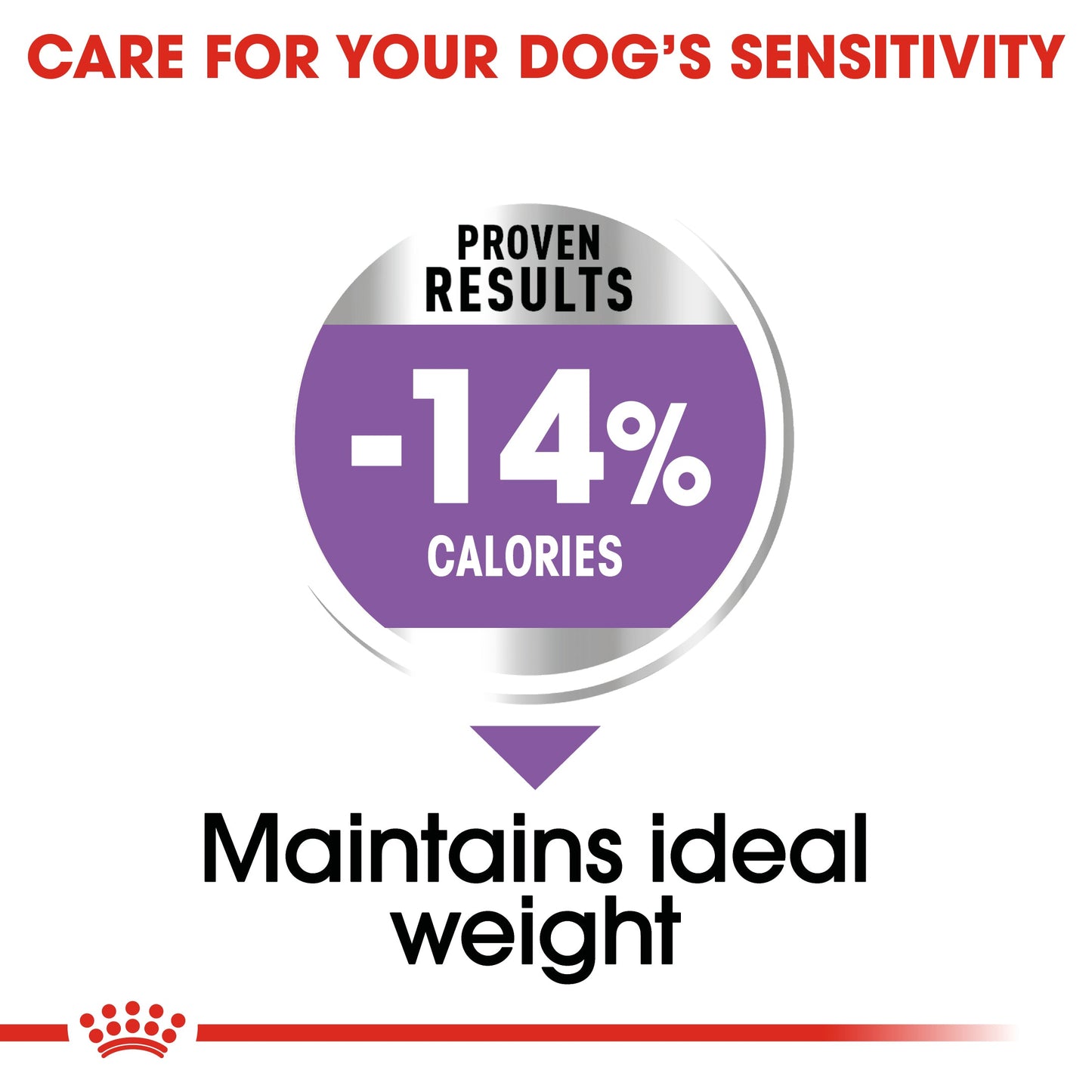 [Clearance Sale] Royal Canin Adult Mini Sterilised Dry Dog Food 8kg