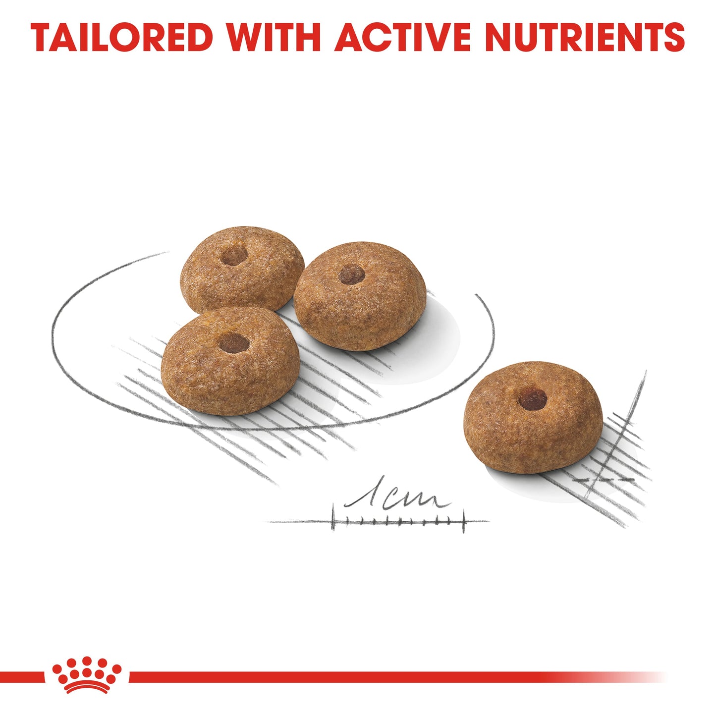 [Clearance Sale] Royal Canin Adult Mini Sterilised Dry Dog Food 8kg