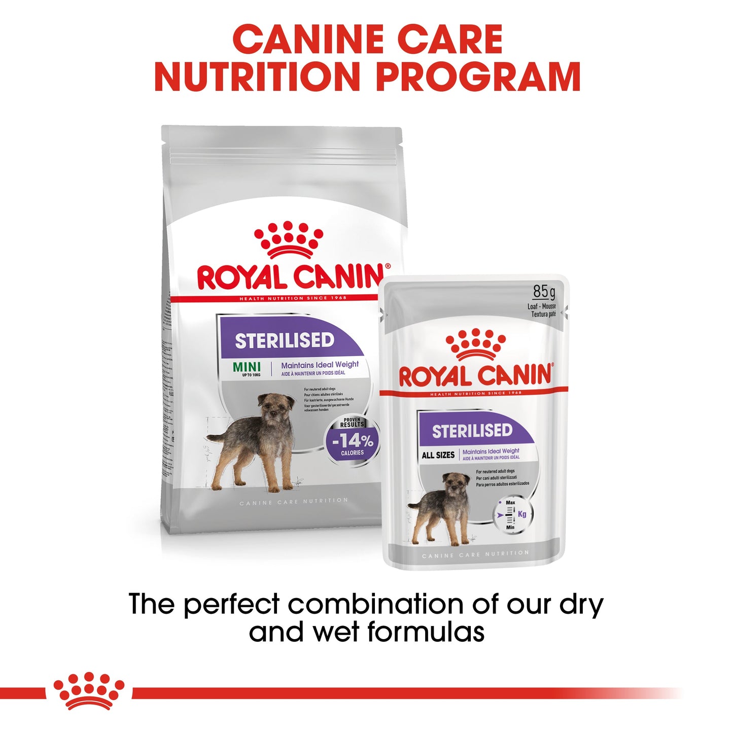[Clearance Sale] Royal Canin Adult Mini Sterilised Dry Dog Food 8kg