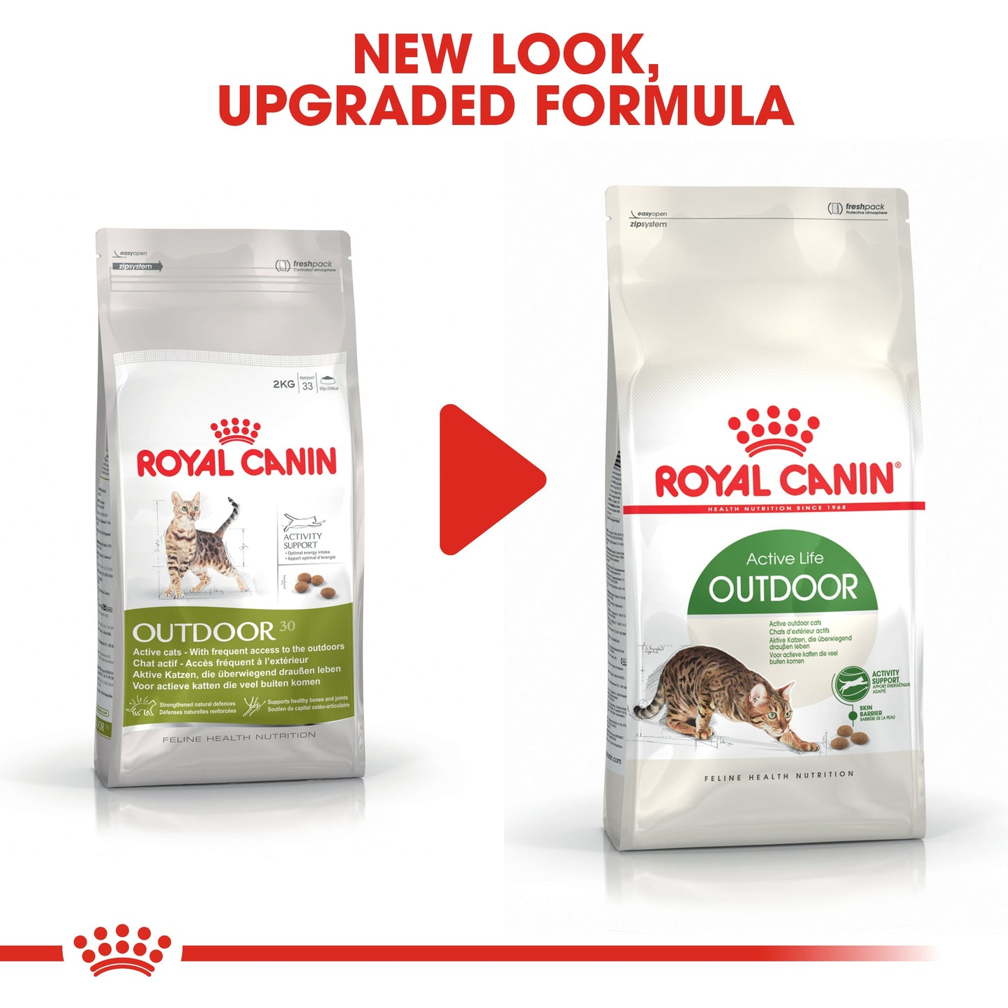 [Clearance Sale] Royal Canin Adult Outdoor Dry Cat Food 400g