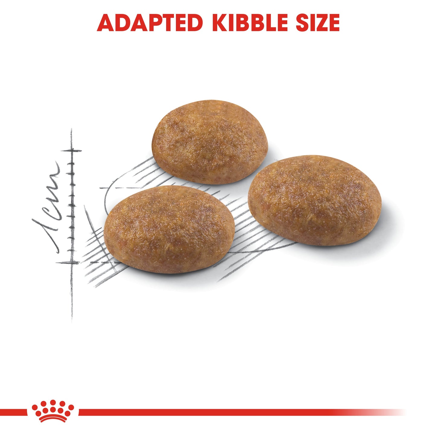 Royal Canin Adult Outdoor Dry Cat Food