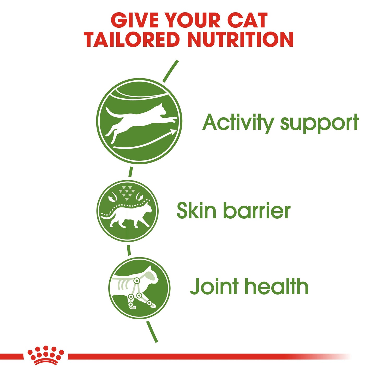 [Clearance Sale] Royal Canin Adult Outdoor Dry Cat Food 400g