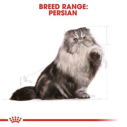 Royal Canin Adult Persian Dry Cat Food 2kg