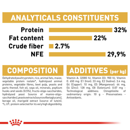 Royal Canin Kitten Persian Dry Cat Food