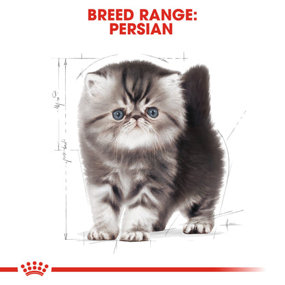 Royal Canin Kitten Persian Dry Cat Food