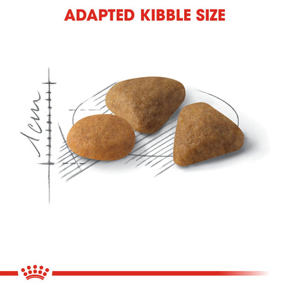 Royal Canin Savour Exigent Dry Adult Cat Food 400g