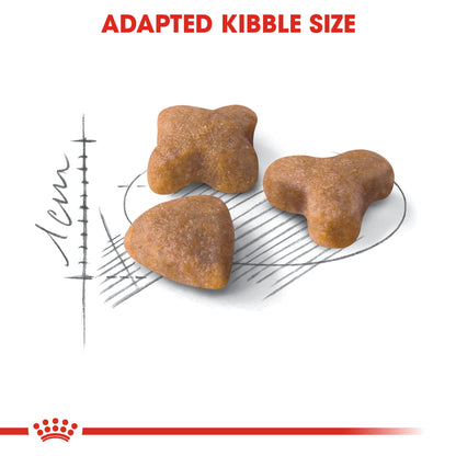 Royal Canin Adult Sensible 33 Dry Cat Food