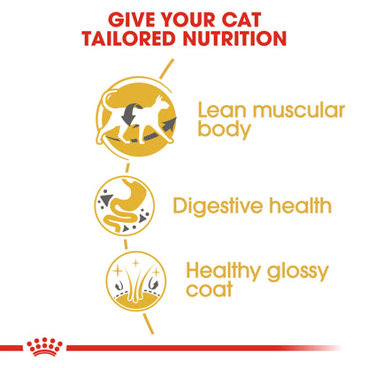 Royal Canin Adult Siamese Dry Cat Food