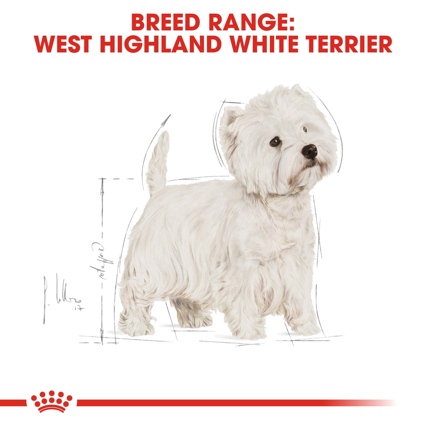 Royal Canin Adult West Highland White Terrier Dry Dog Food
