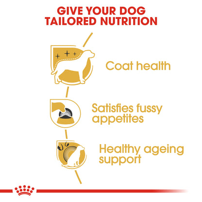 Royal Canin Adult Yorkshire Terrier Dry Dog Food