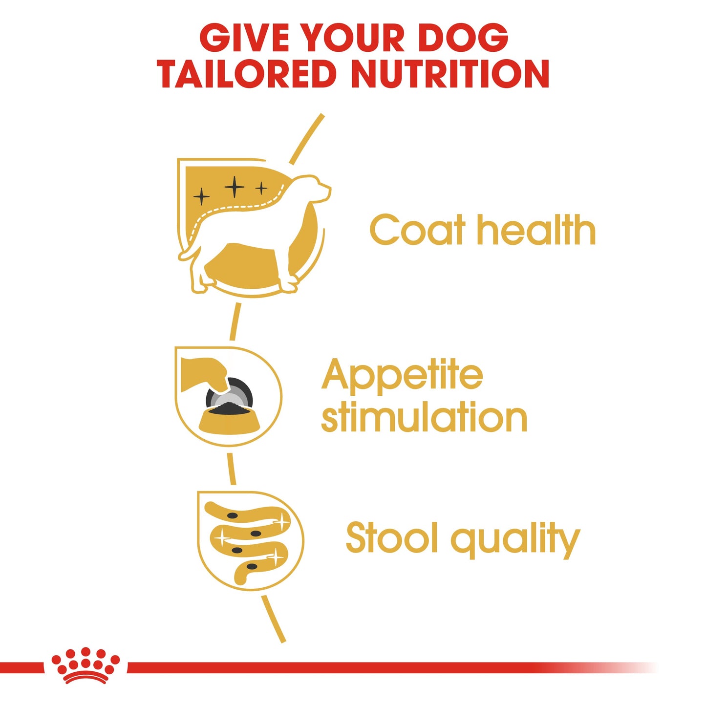 Royal Canin Adult Yorkshire Terrier Wet Dog Food