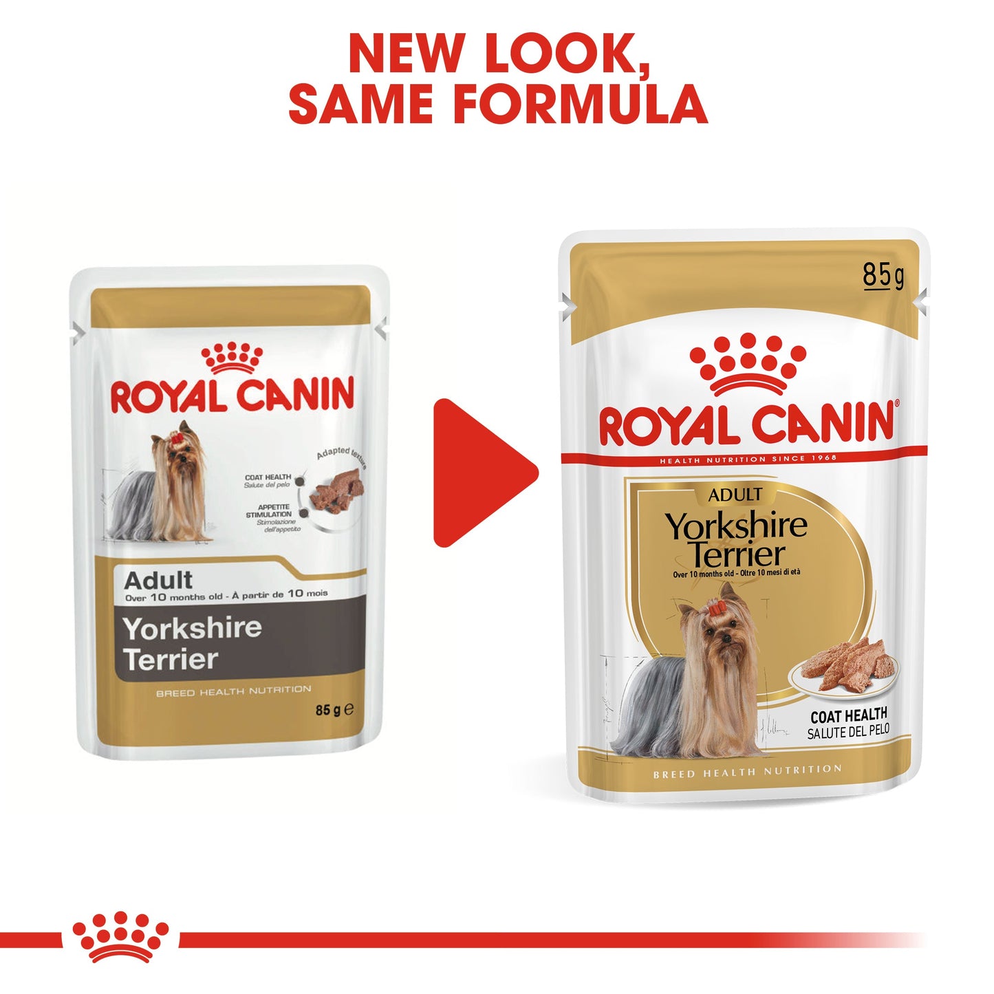 Royal Canin Adult Yorkshire Terrier Wet Dog Food