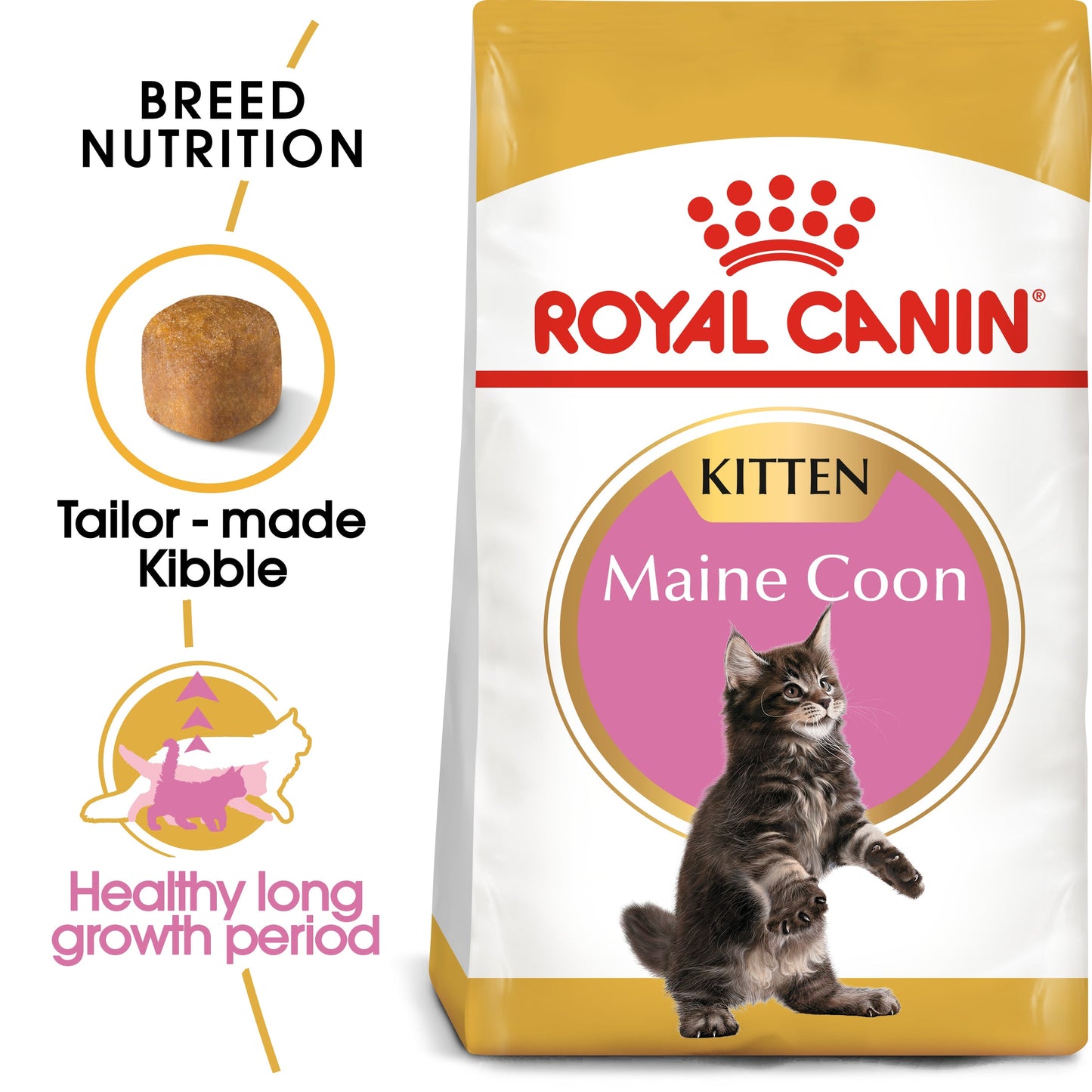 [Clearance Sale] Royal Canin Kitten Maine Coon Dry Cat Food 10kg