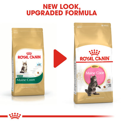 [Clearance Sale] Royal Canin Kitten Maine Coon Dry Cat Food 10kg