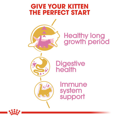 [Clearance Sale] Royal Canin Kitten Maine Coon Dry Cat Food 10kg