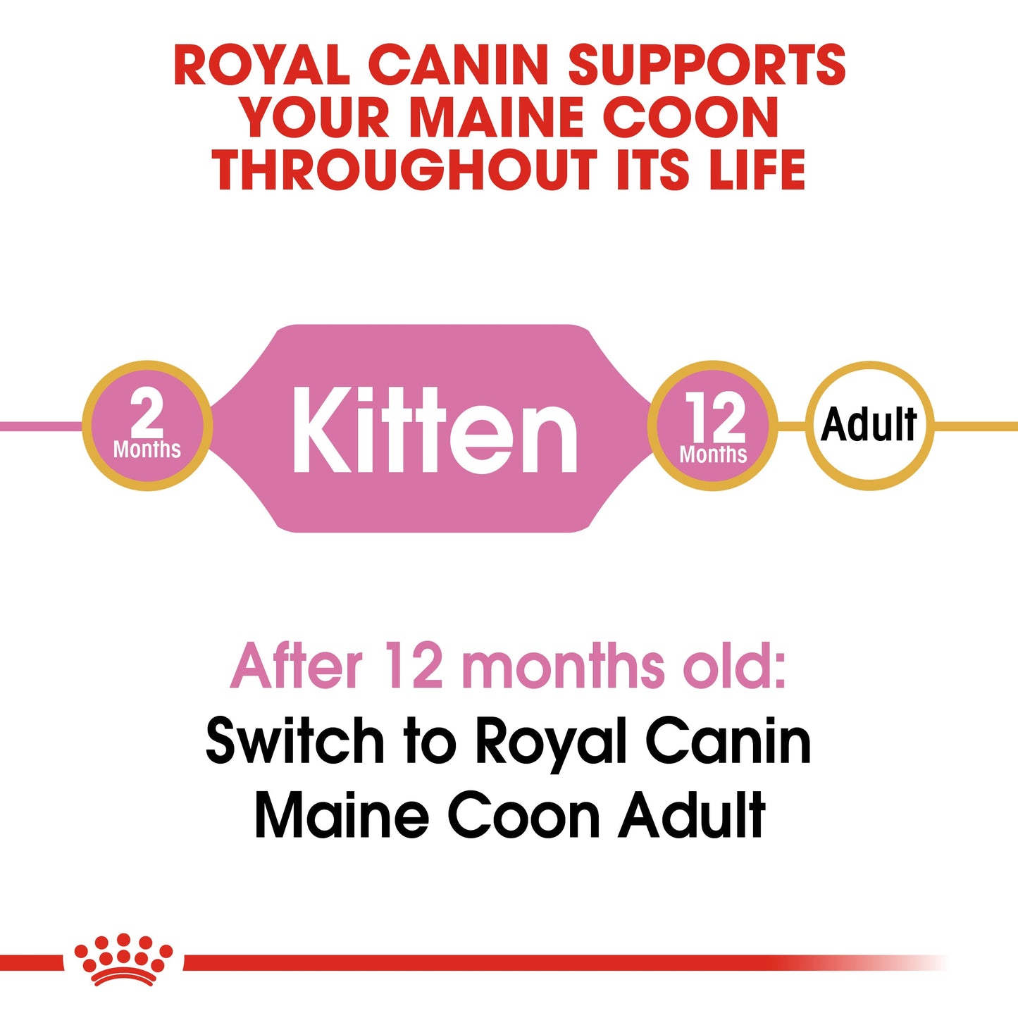 [Clearance Sale] Royal Canin Kitten Maine Coon Dry Cat Food 10kg