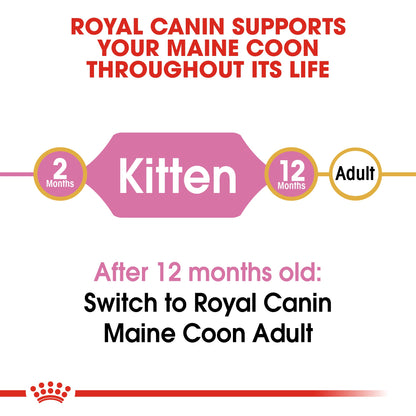 [Clearance Sale] Royal Canin Kitten Maine Coon Dry Cat Food 10kg
