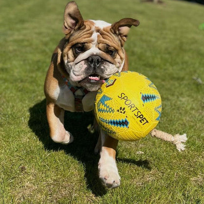 Sportspet Football Dog Toy Size 3