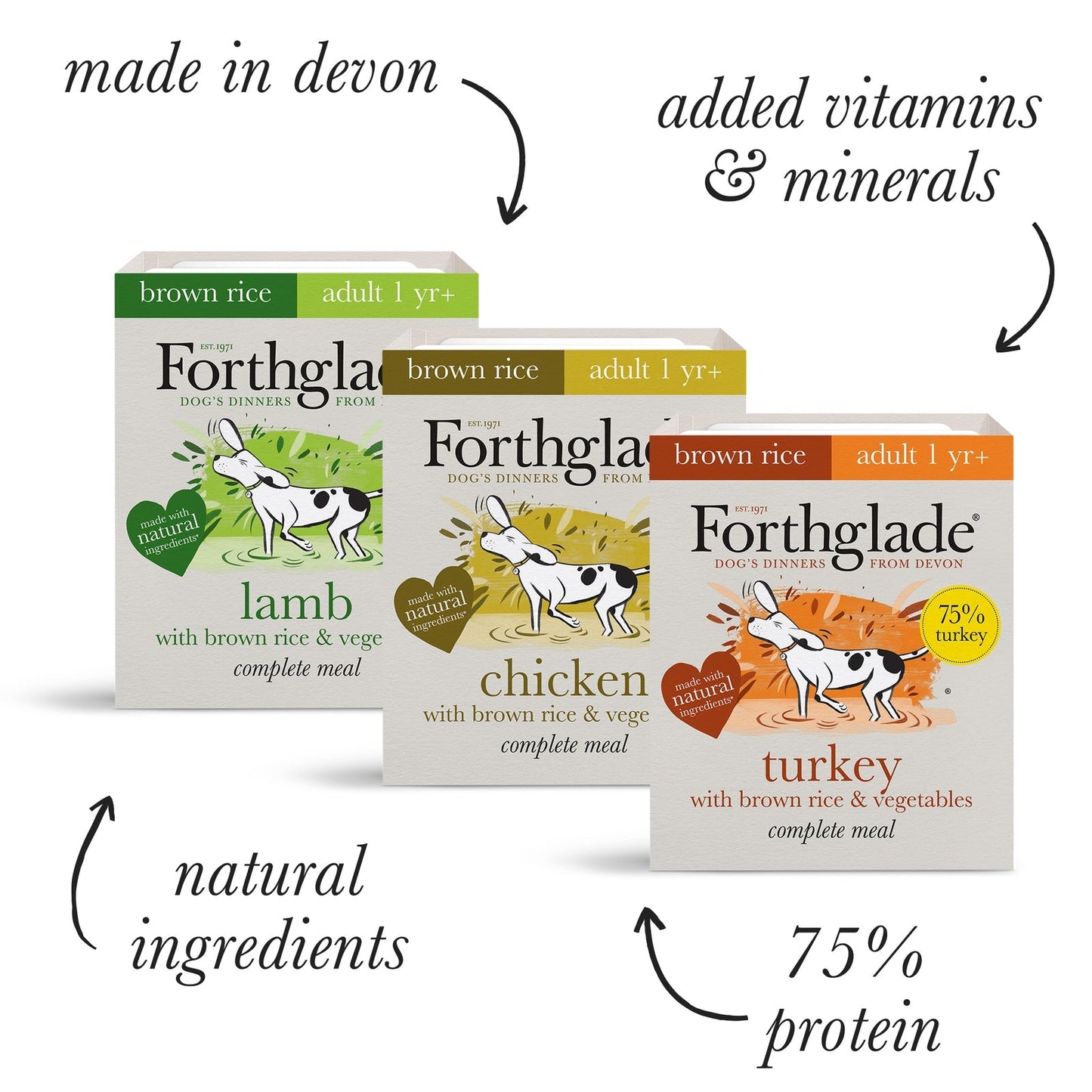 Forthglade Complete Meal with Brown Rice Turkey/Lamb & Chicken Natural Wet Dog Food 12 x 395g