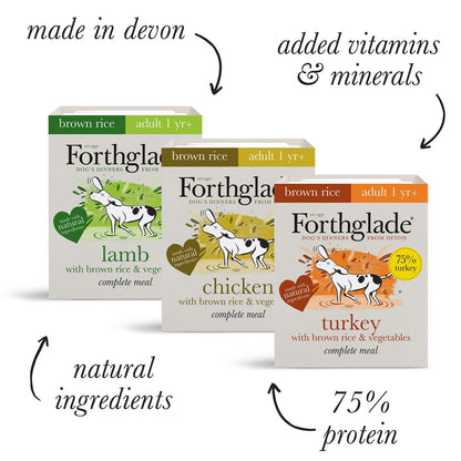 Forthglade Complete Meal with Brown Rice Turkey/Lamb & Chicken Natural Wet Dog Food 12 x 395g